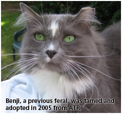 benji 2