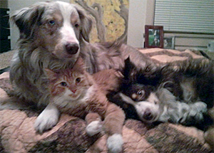 leo and brothers